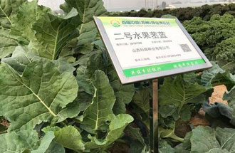 10月23日，中國（鄭州）種業(yè)博覽會將在河南省鄭州市中牟縣官渡鎮(zhèn)鄉(xiāng)謠農(nóng)場舉辦