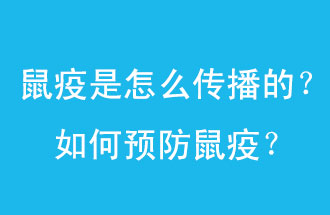 鼠疫是怎么傳播的？如何預(yù)防鼠疫？